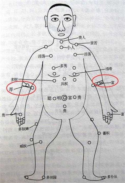 手臂痣的位置|手把手教你看懂全身，主要部分痣的位置與命運——5分鐘時間學。